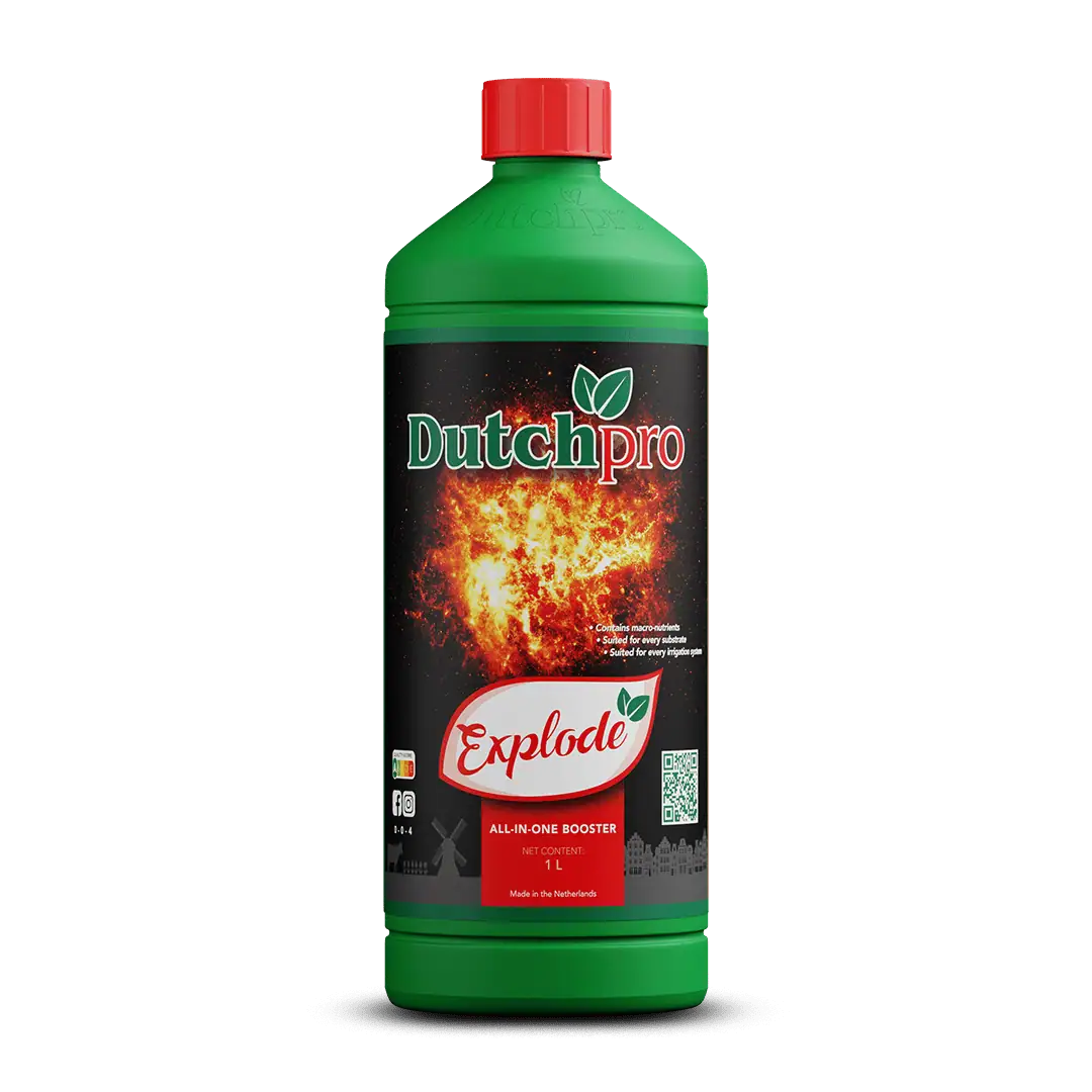 Explode - All-in-One Booster — Dutchpro